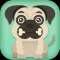 Pug Need Bone