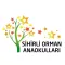 Sihirli Orman Anaokulu