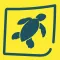 Gumbo Limbo Sea Turtle Day '18