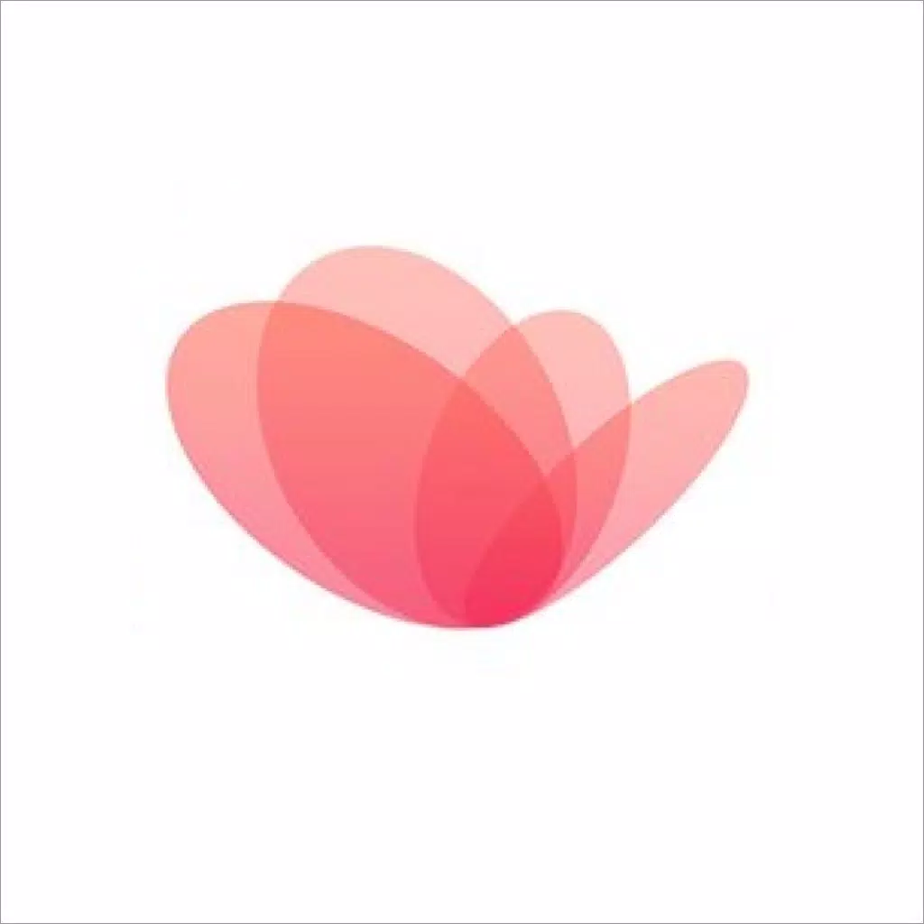 Modele - Story Templates Maker Modele - Story Templates Maker