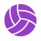Volleyball Scorebook + Stats