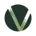 Viridian Palms