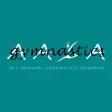 All-Around Gymnastics Academy