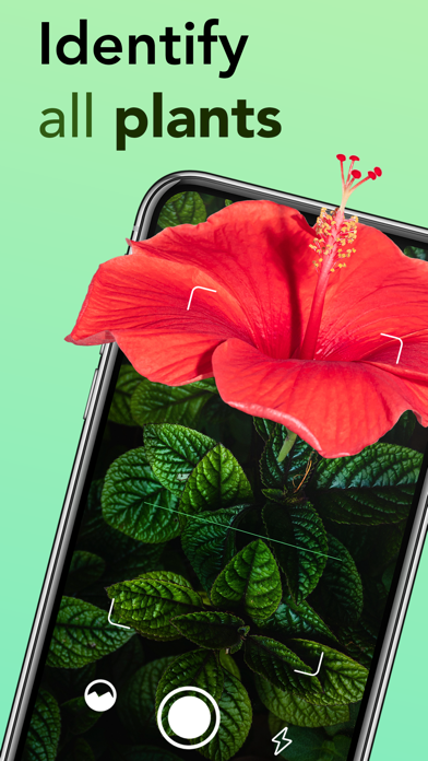 Plant identifier: Plant ID app Screenshots