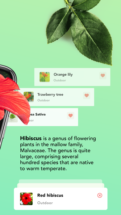 Plant identifier: Plant ID app Screenshots