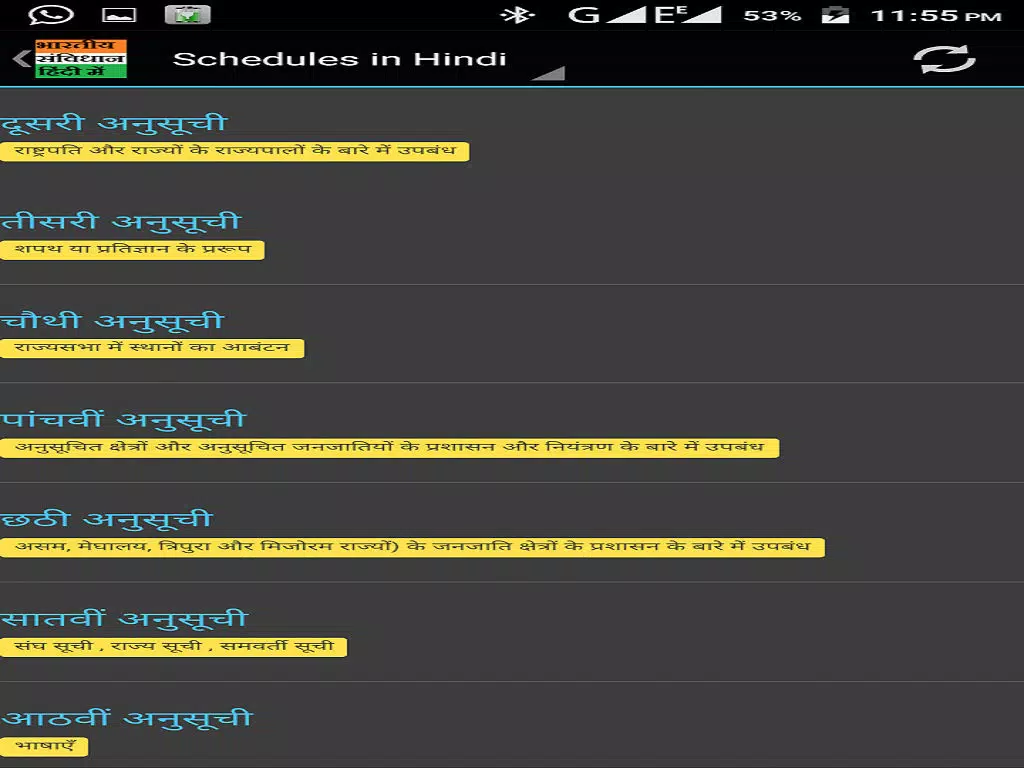 Constitution of India Hindi iPad Screenshots