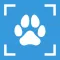 Dog Breed Identifier - PupDex
