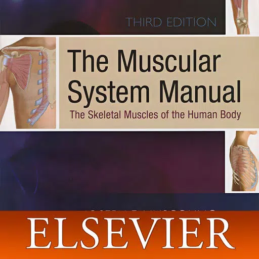 Muscular System Manual Muscular System Manual