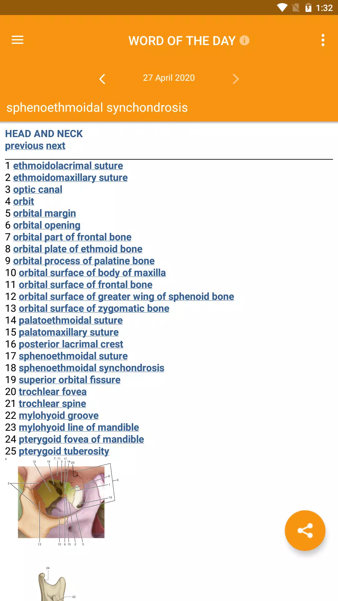 Gray's Pocket Atlas of Anatomy Screenshots
