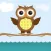 Jump Up Owl