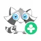 Little Raccoon (Frim)