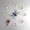 Quick Spider
