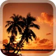 Romantic Sunset Live Wallpaper