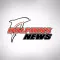 Redcliffe Dolphins News