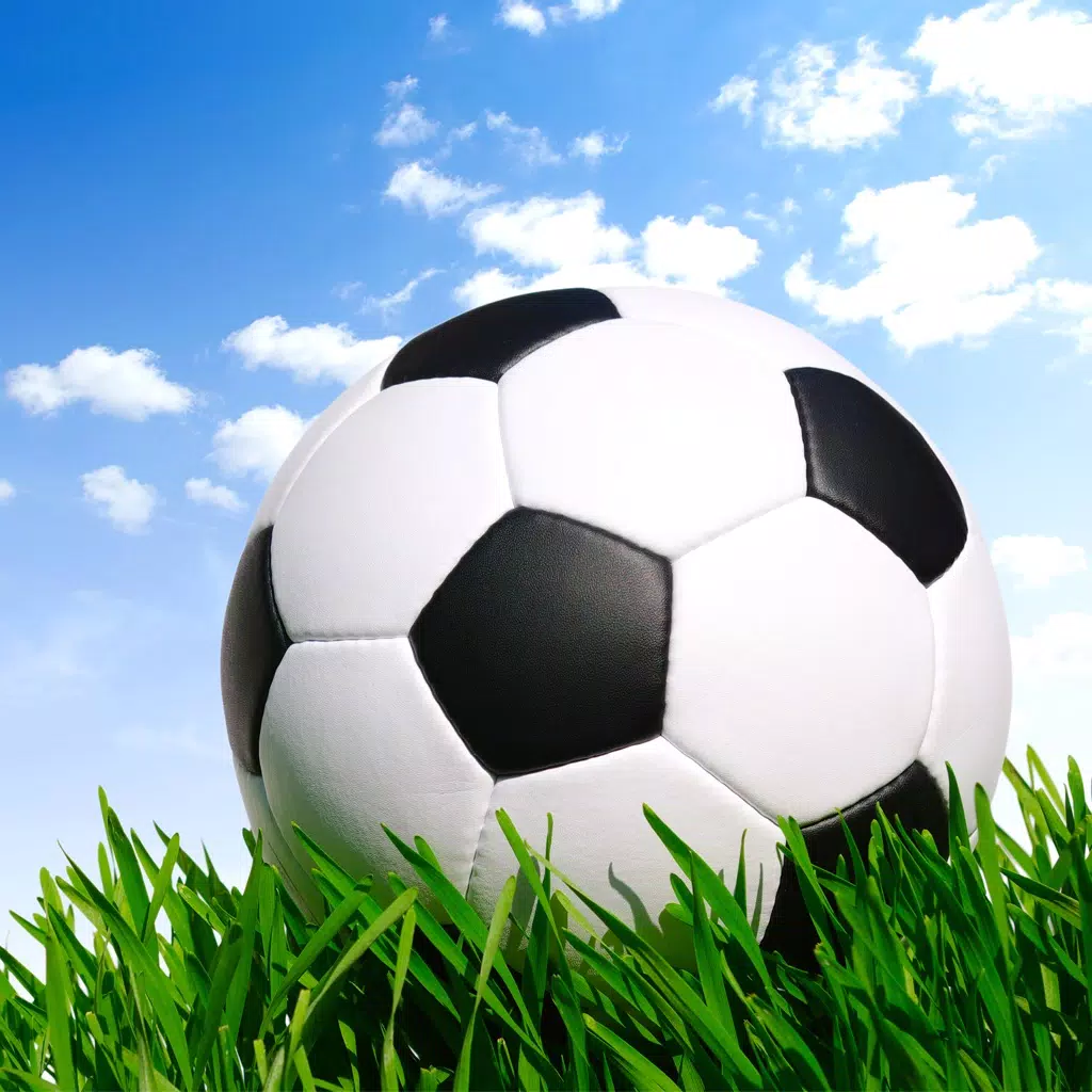 صدى الملاعب صدى الملاعب