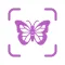 Identify Insects Instantly