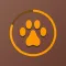 FoxyFocus: Focus & Study Timer