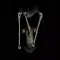 Broken Bones