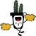 Cathy the Catus