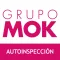MOK Autoinspección