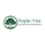 Poplar Tree