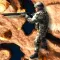 Shoot.io.gp