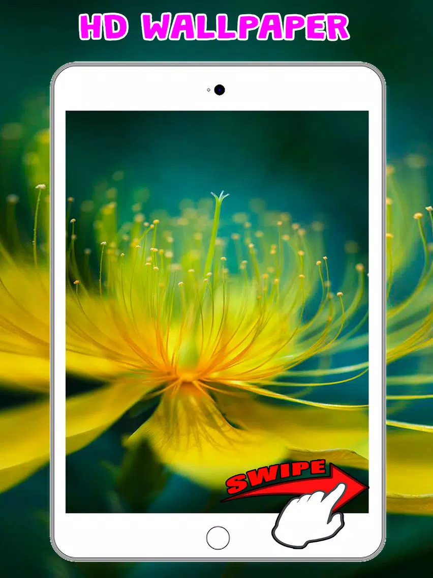 Flower Wallpapers Amazing Backgrounds & Stickers iPad Screenshots