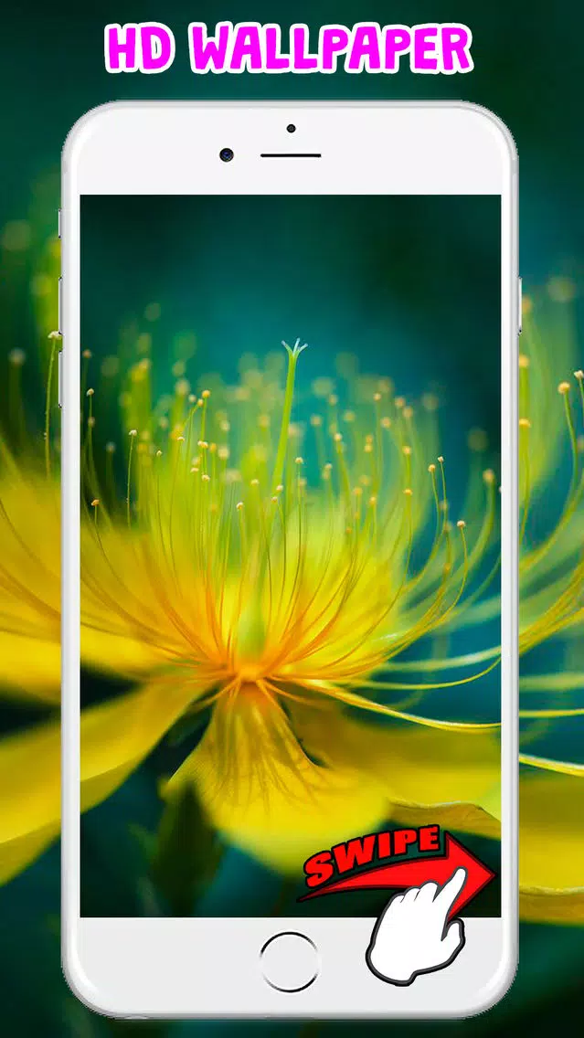 Flower Wallpapers Amazing Backgrounds & Stickers Screenshots