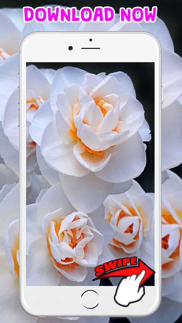 Flower Wallpapers Amazing Backgrounds & Stickers Screenshots