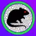 Mouse Rover
