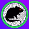 Mouse Rover