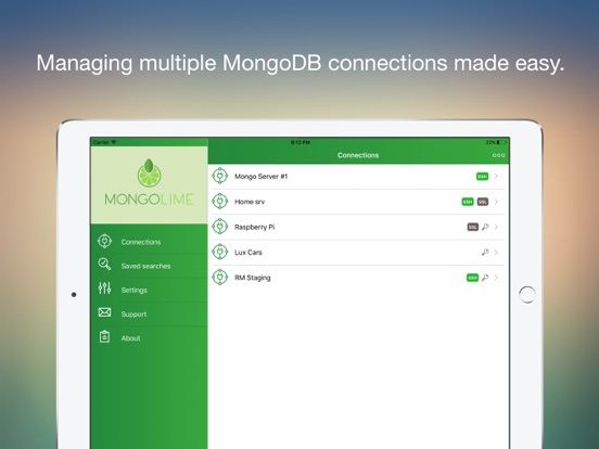 MongoLime - manage databases iPad Screenshots