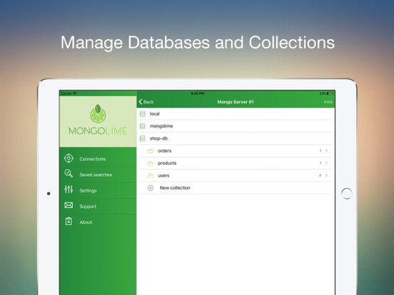 MongoLime - manage databases iPad Screenshots