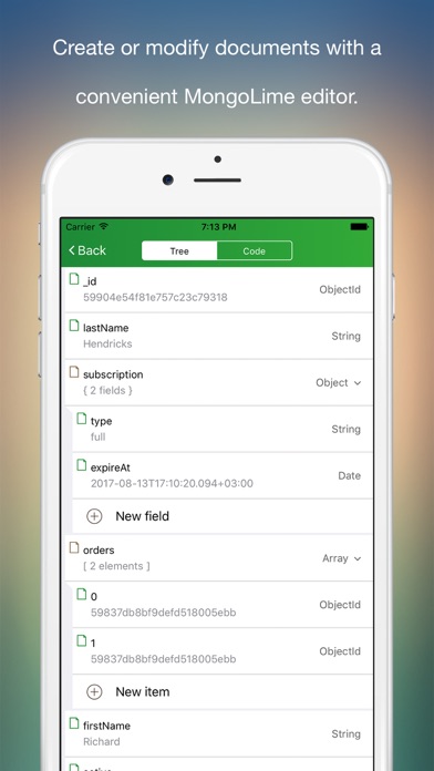 MongoLime - manage databases Screenshots