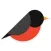 Robins