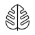 Monstera
