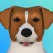 Dog Care 3D
