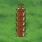 BeetleWorm