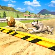 Wild Animals Race Simulator