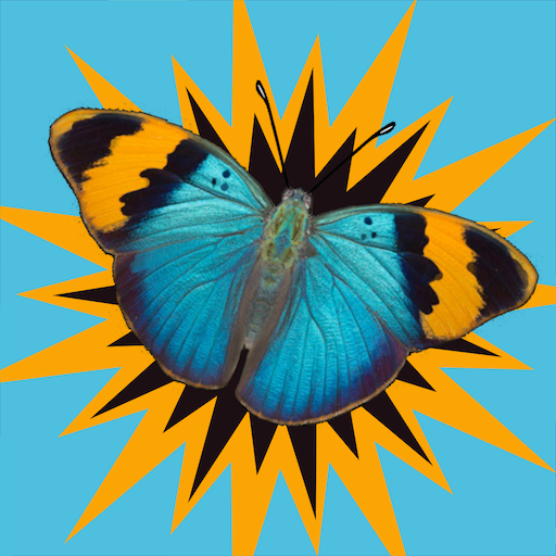 Butterfly Surprise