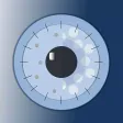 Ocular Surface Interest Group