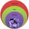 CCHD Wheel