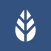 MoreApp Forms