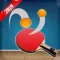 Table Tennis Ball Knocking