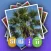 Khmer Pics Quiz