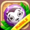 Raccoon Rescue Puzzle