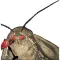 Moth iStickers