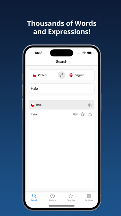English Czech Dictionary + Screenshots