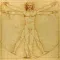 Amazing Human Body Facts