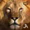 Safari: I-Evolution